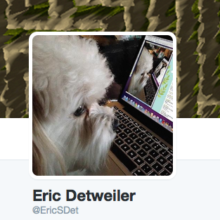 Screenshot of Eric's Twitter profile